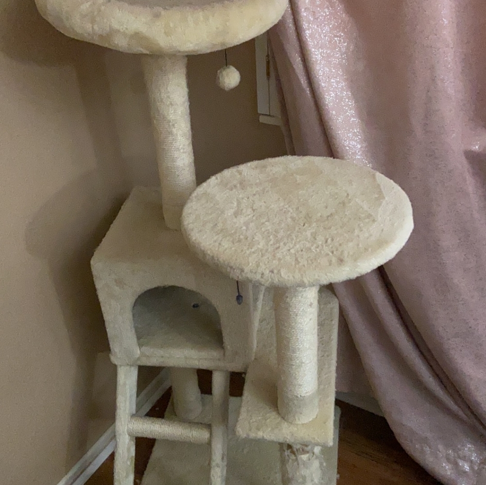Cat Activity Tree Play